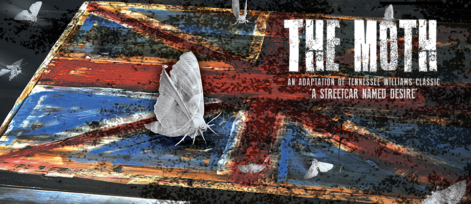Moth Banner